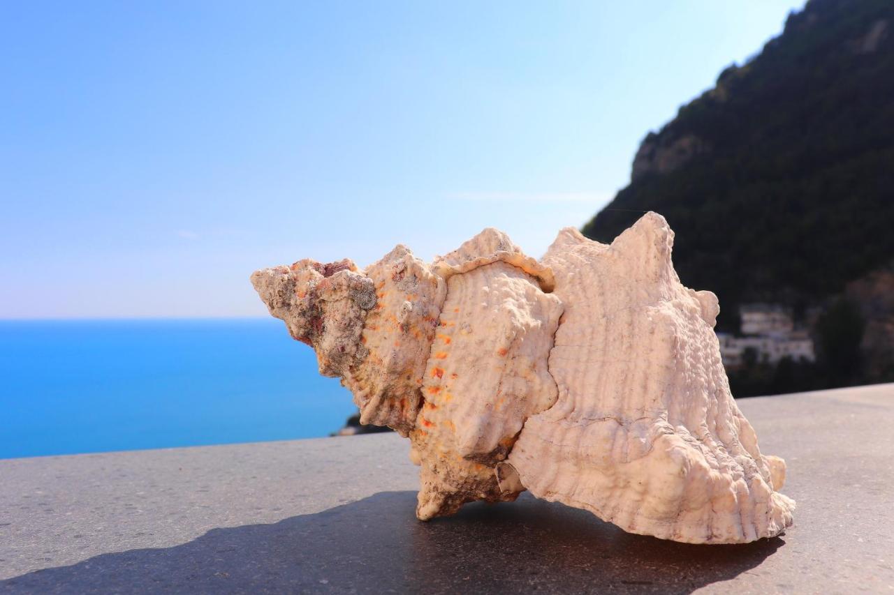 Willa Ilary House - De Vivo Realty Positano Zewnętrze zdjęcie